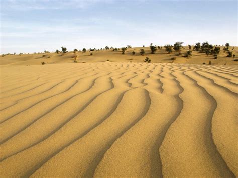 Thar Desert Map Climate Vegetation And Facts Britannica