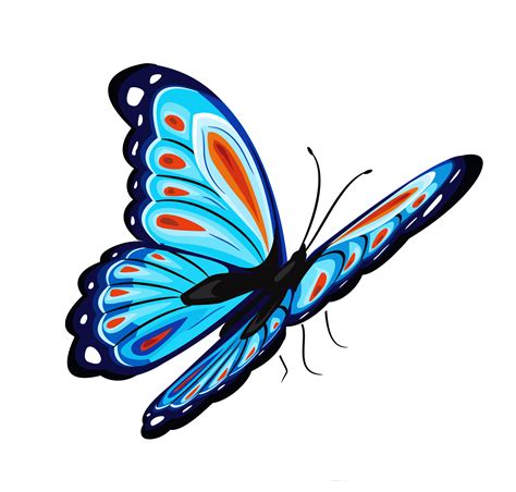 Blue and Red Butterfly PNG Clipart Picture | Butterfly png, Butterfly clip art, Butterfly watercolor