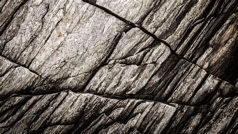 Download Wallpaper 1920x1080 Texture Stone Rock Fossil Full Hd Hdtv