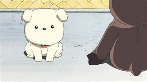 Top 20 Cute Anime Dogs Anime Dog Anime Dogs Cute