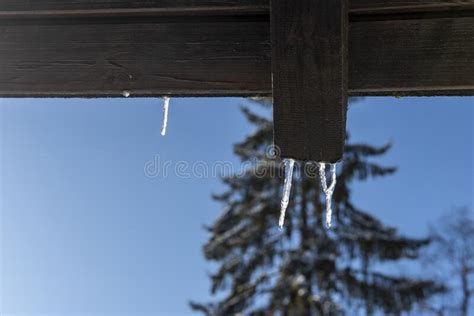 Ice Icicles With Drops Of Water Hanging From The Roof Of The Building