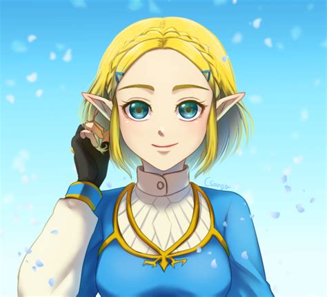Sangachie Princess Zelda Nintendo The Legend Of Zelda The Legend Of Zelda Breath Of The