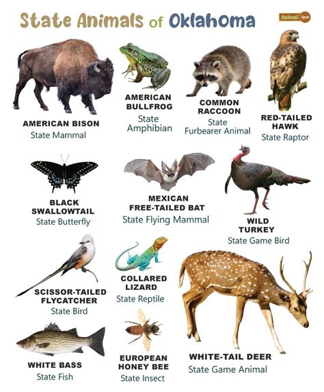 List Of Animals That Live In Oklahoma With Pictures