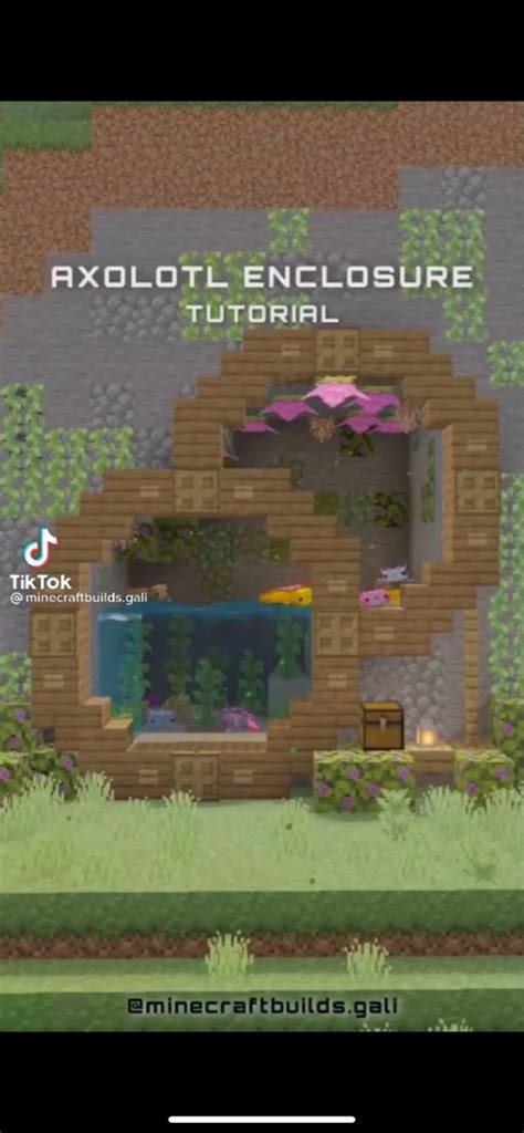 Axolotl Enclosure Minecraft Farm Minecraft Blueprints Minecraft