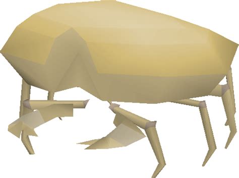 Sand Crab Osrs Wiki