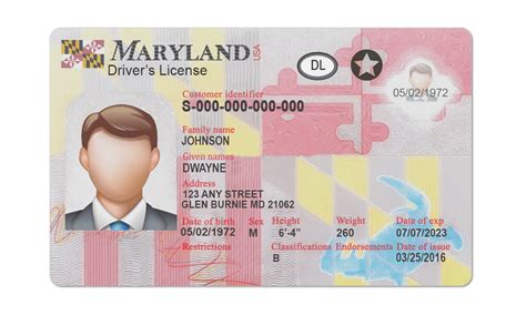 New Maryland Drivers License Psd Template Editable In 2021 Drivers