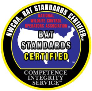 Michigan Bat Control, Inc | Pest Control, Animal Control ...