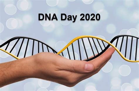 Dna Day 2020 9 Great Ways To Celebrate An Amazing 20 Year Journey