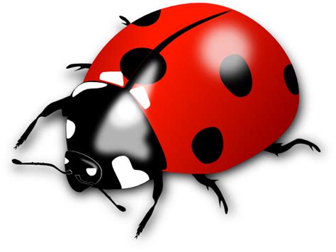Red Lady Bug Clip Art At Vector Clip Art Online Royalty