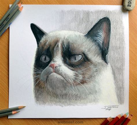 Today we're learning how to draw grumpy cat! 30 Beautiful Cat Drawings - Best Color Pencil Drawings and ...