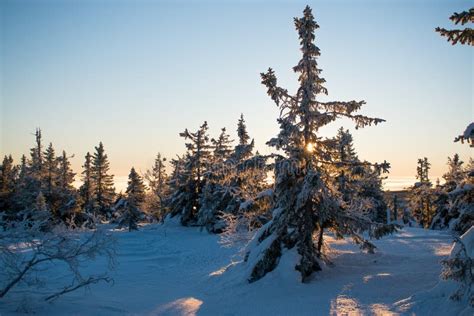 Winter Landscape In Hedmark County Norway Stock Photo Image Of Ground