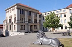 Martin-Luther-Universität Halle-Wittenberg — Учёба и образование в Германии