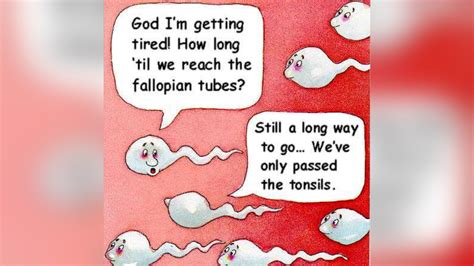 Two Sperm Cells Talking Know Your Meme