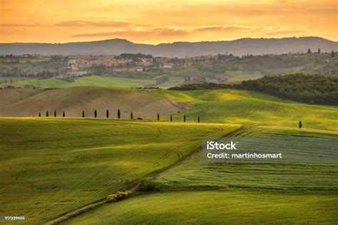 Tuscany Rural Sunset Landscape Countryside Farm Cypresses Trees Green