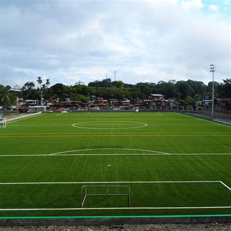 They are among the most popular artificials. FIFA Quality Synthetic Turf Field Provides Social Impact ...