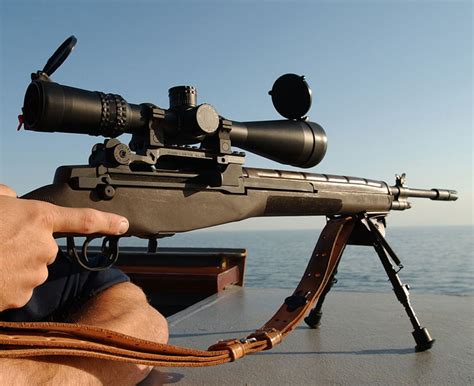 M14 Tactical Sniper Rifle