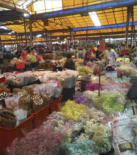 Guide On Guangzhou Flower Markets Four Flower Markets To Visit In