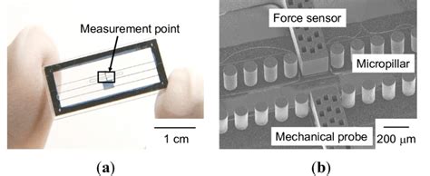 Fabrication Process Of Microfluidic Chip I To Make A Clearance