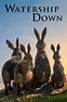 Watership Down (TV Series 2018-2018) - Posters — The Movie Database (TMDB)