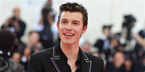 Shawn Mendes Had the Biggest Hair Transformation for the 2019 Met Gala