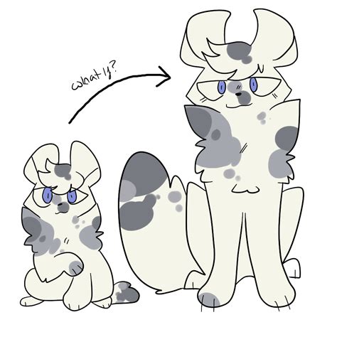 stylized warrior cats designs — Snowkit and his grown up ...
