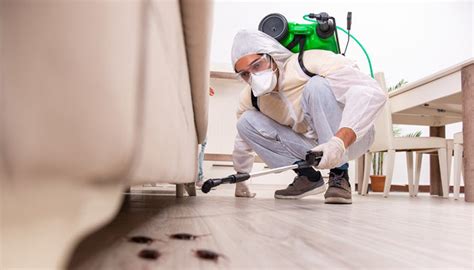 How To Choose The Best Pest Management Service Communityprojectsafrica