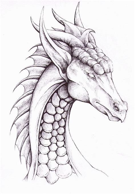 111 Drawing Ideas The Best Fun And Cool Things To Draw Dragon