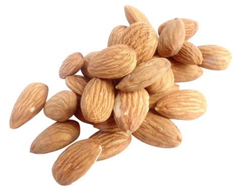Group Of Almond Nuts Concept 12596332 Png