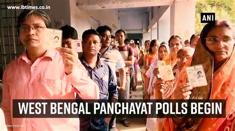 West Bengal Panchayat Elections Ballot Box Found In Pond Death Toll