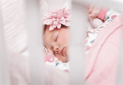 Cute Baby Sleeping Stock Image Image Of Happiness Comfortable 243727245