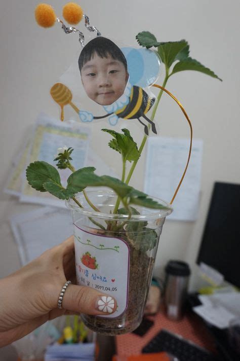 날씨 식목일 전국에 봄비.미세먼지 오전 '주의' / ytn (yes! @sonape1125 Pinterest pin 합성몸통꿀벌,나비,나비몸통,벌몸통,벌대두 ...