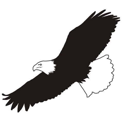 Bald Eagle Clip Art Image Silhouette Eagle Png Download 21422332