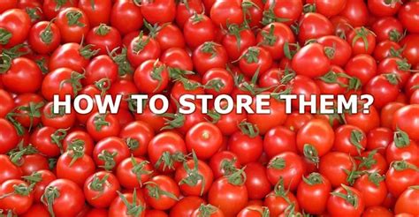 How To Store Tomatoes And Keep Them Fresh For Up To 7 Months