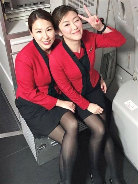 sexy sheer flight attendant pantyhose recoveryparade