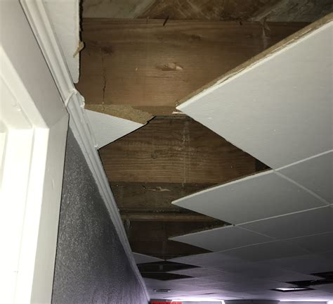 There is nothing inherently dangerous with asbestos. How to tell if ceiling tiles contain asbestos - Identify ...