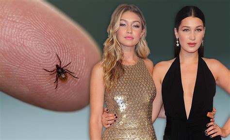 bella hadid has lyme disease here s what it is and the symptoms metro news