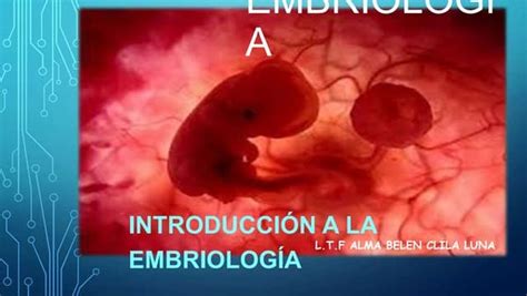 Embriologia Y Desarrollo Humano