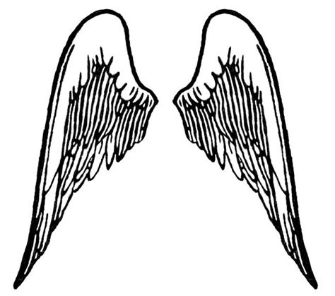 Angel Wings Vector At Getdrawings Free Download