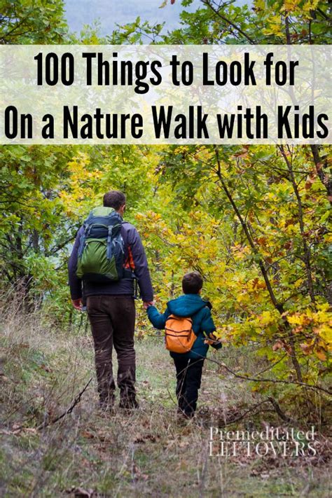100 Things To Look For On A Nature Walk
