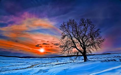 beautiful winter wallpapers wallpaper cave