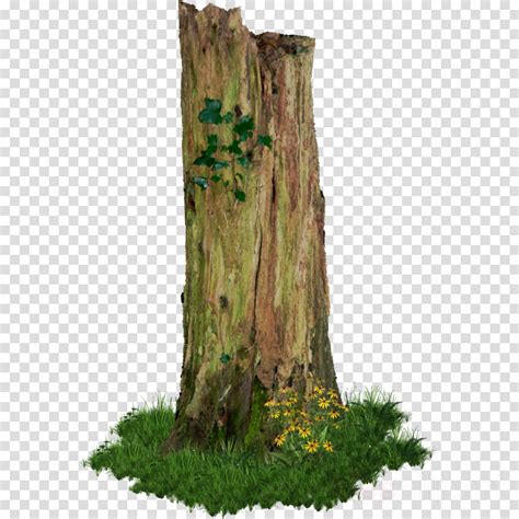 Tree stump clipart - Tree, Trunk, Tree Stump, transparent clip art png image