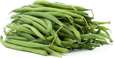 Blue Lake Beans Information And Facts
