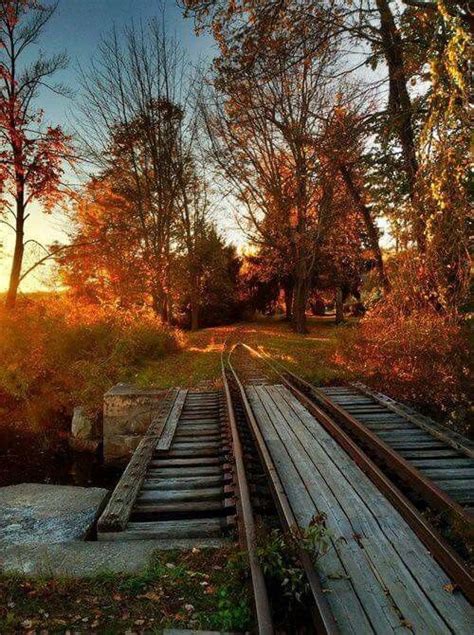 Tracking Autumn Train Tracks Abandoned Train Abandoned