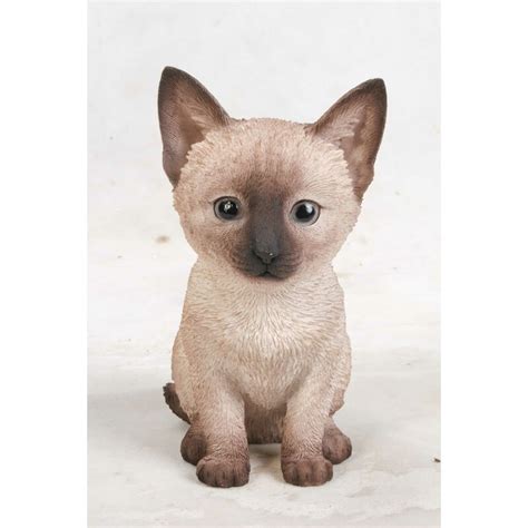 If you want to bring the kitten in before taking it to the vet, and you have other pets, keep it isolated in one room until you've had it checked out. Hi-Line Gift Ltd. Siamese Kitten Statue & Reviews | Wayfair