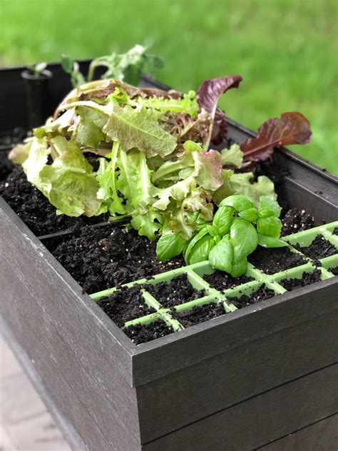 Large enough to accommodate 12.7 gallons of soil for growing your favorite juice or smoothie. Creating a Raised Patio Garden - -- Pinterest Challenge ...