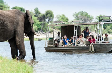 chobe princess safariboat luxury safari boat activities