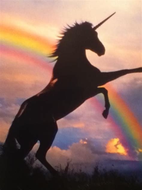 49 Best Black Unicorns Images On Pinterest