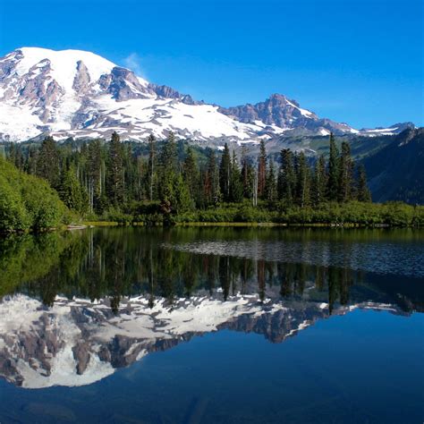 Snow Lake Trail Mount Rainier National Park All You Need To Know