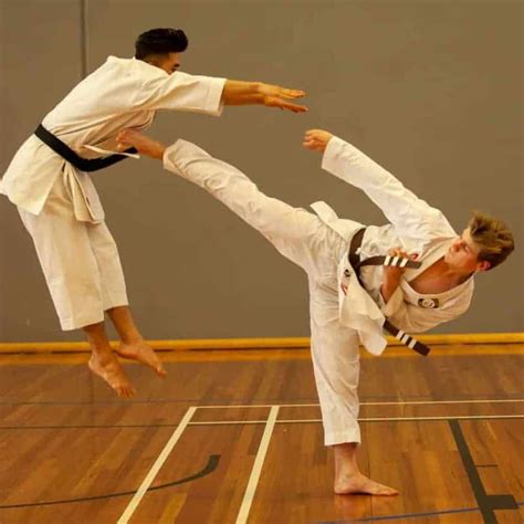 20 To 29 Years Gsk Karate For Teens To Mature Adults 9444 3737