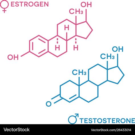 Estrogen And Testosterone Hormones Symbol Sex Vector Image